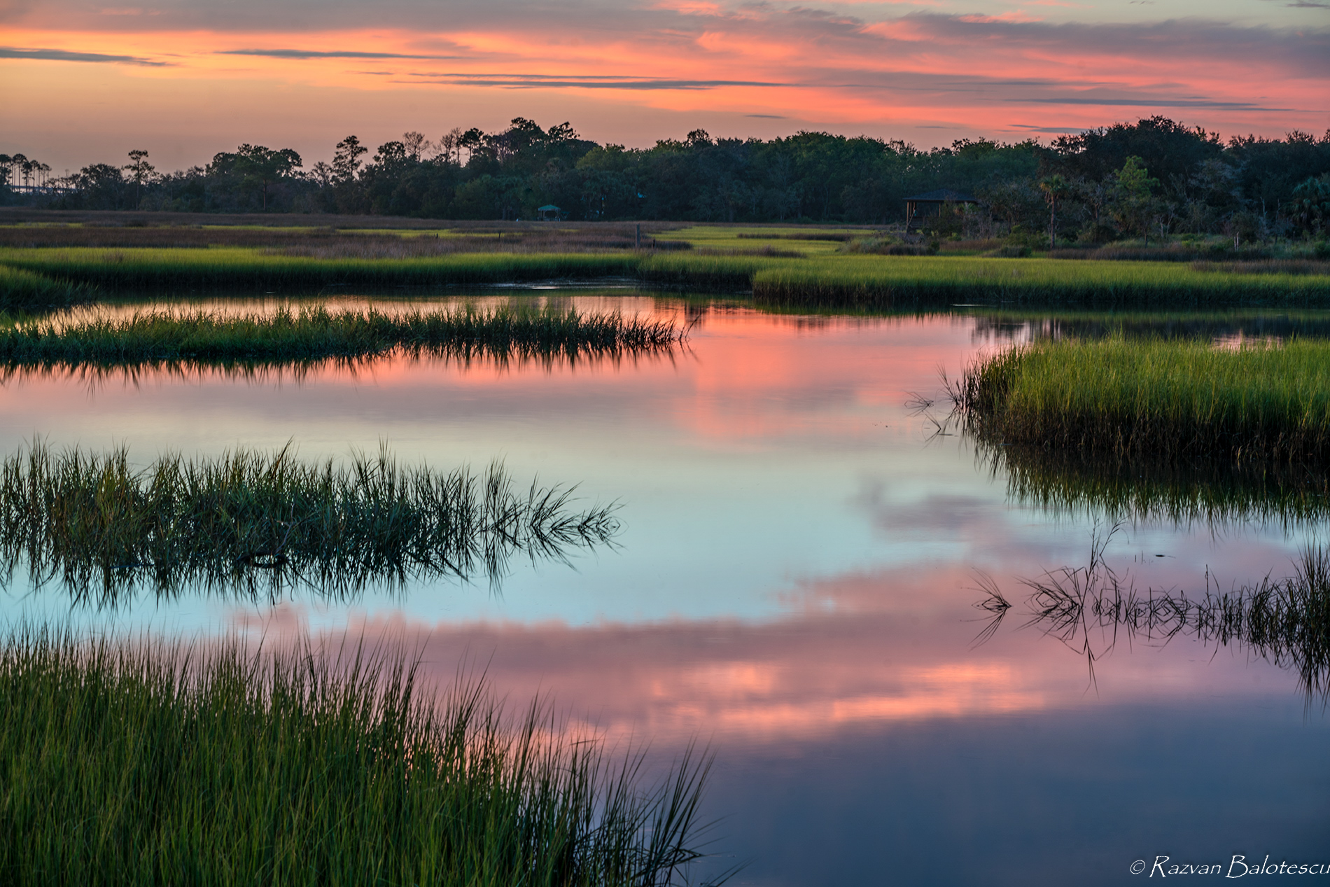 The Marsh PHOTOGRAPHY