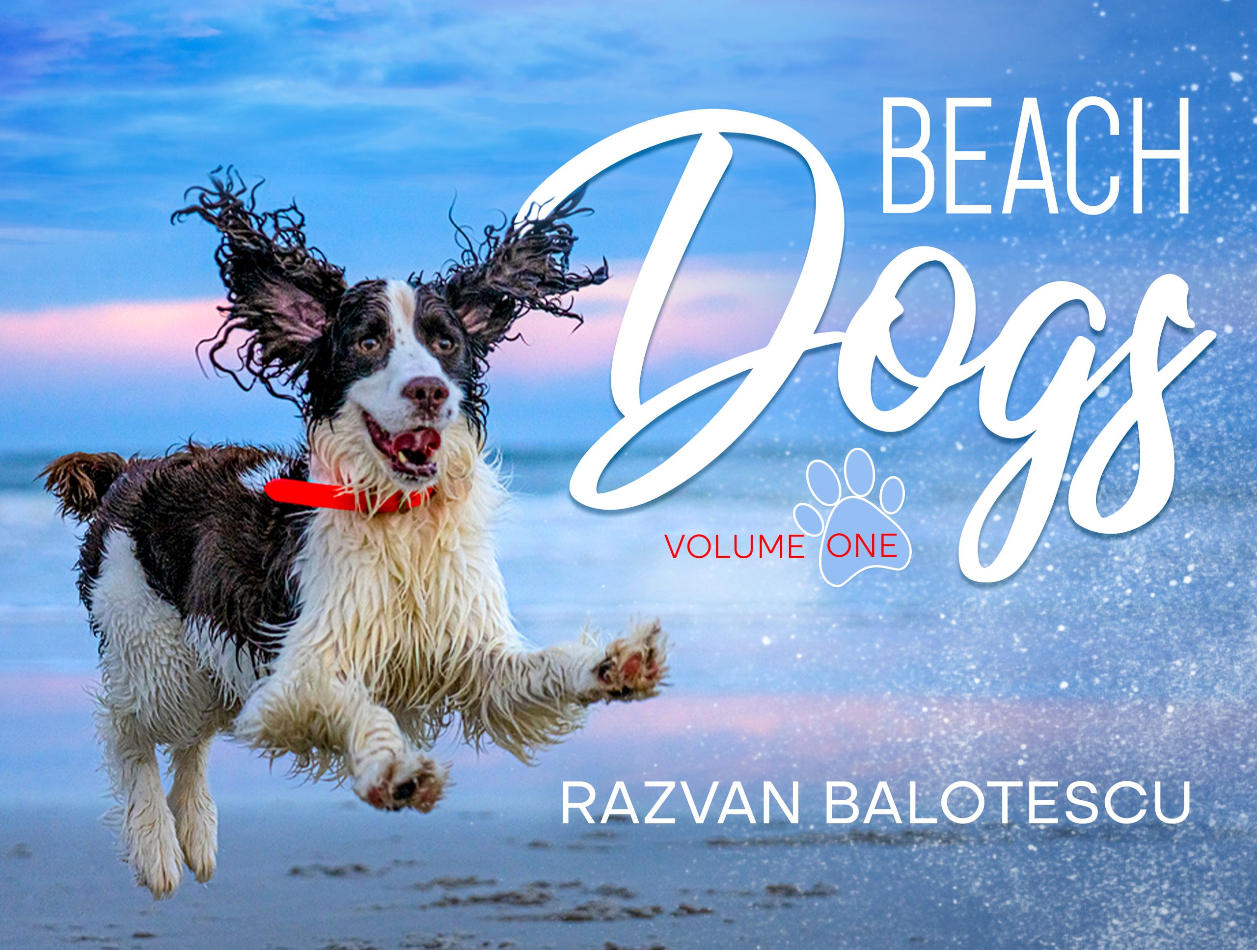 Beach Dogs Coffee Table Book – PHOTOGRAPHY